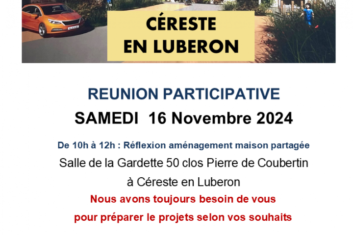 REUNION PROJET INTERGENERATIONNEL 